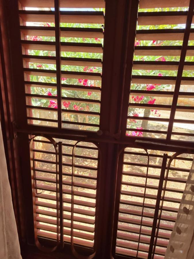 Apartments Jelena Peroj Ngoại thất bức ảnh